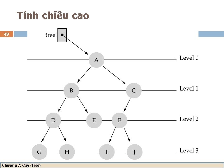 Tính chiều cao 49 Chương 7: Cây (Tree) 