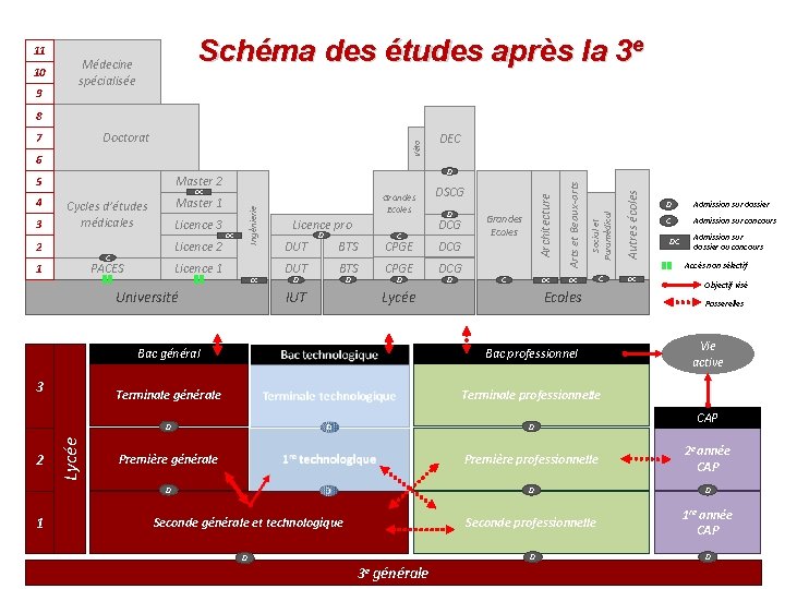 11 10 9 Schéma des études après la 3 e Médecine spécialisée 8 Véto