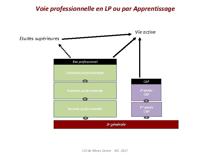 Voie professionnelle en LP ou par Apprentissage Vie active Etudes supérieures Bac professionnel Terminale