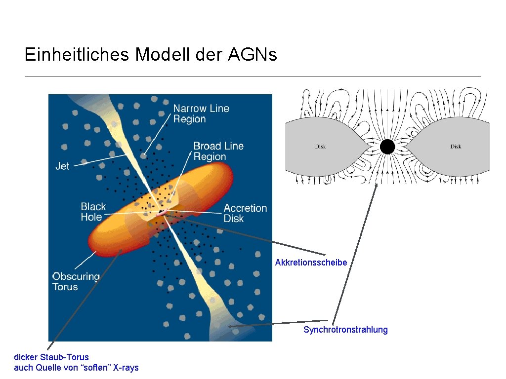 Einheitliches Modell der AGNs Akkretionsscheibe Synchrotronstrahlung dicker Staub-Torus auch Quelle von “soften” X-rays 