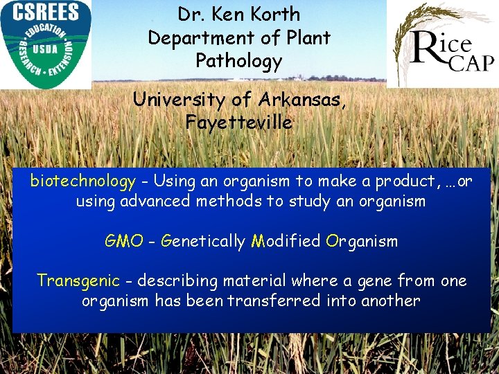 Dr. Ken Korth Department of Plant Pathology University of Arkansas, Fayetteville biotechnology - Using