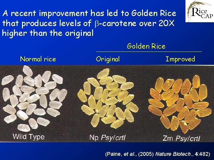 A recent improvement has led to Golden Rice that produces levels of b-carotene over