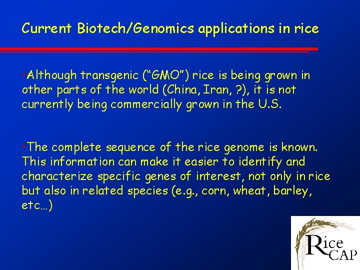 Current Biotech/Genomics applications in rice • Although transgenic (“GMO”) rice is being grown in