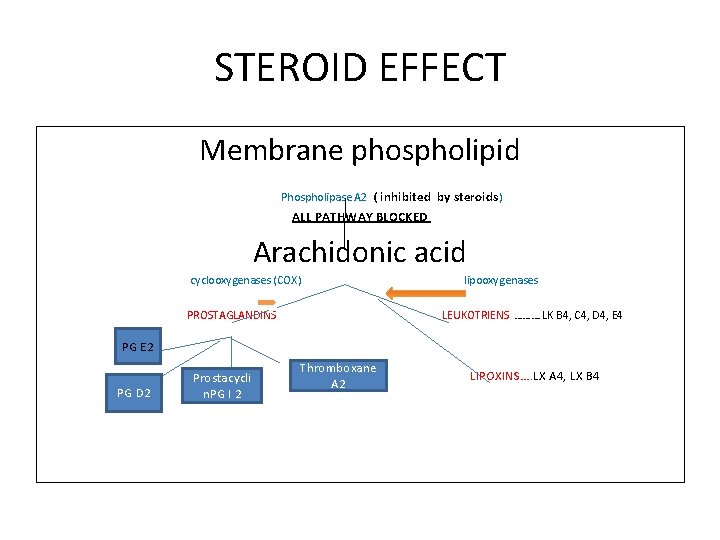 STEROID EFFECT Membrane phospholipid Phospholipase A 2 ( inhibited by steroids) ALL PATHWAY BLOCKED STEROID EFFECT Membrane phospholipid Phospholipase A 2 ( inhibited by steroids) ALL PATHWAY BLOCKED