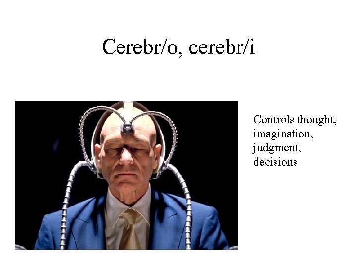 Cerebr/o, cerebr/i Controls thought, imagination, judgment, decisions 