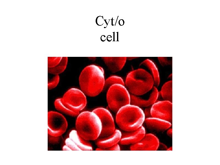 Cyt/o cell 