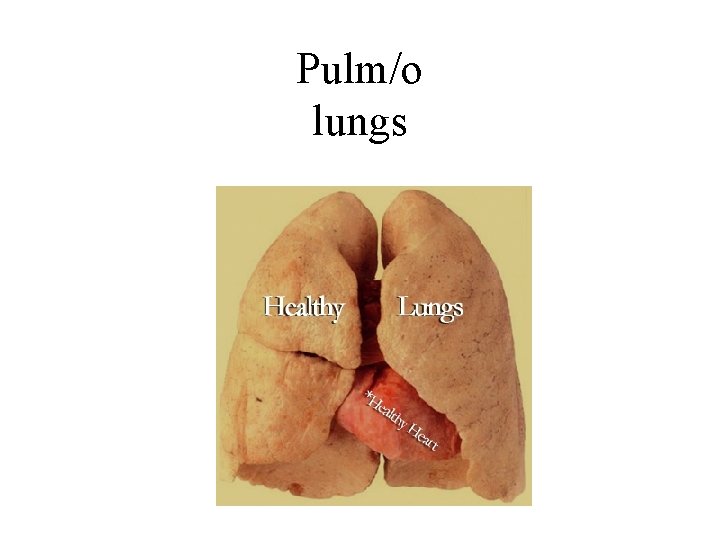 Pulm/o lungs 