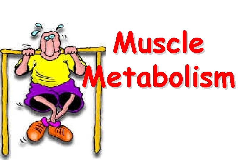 Muscle Metabolism 