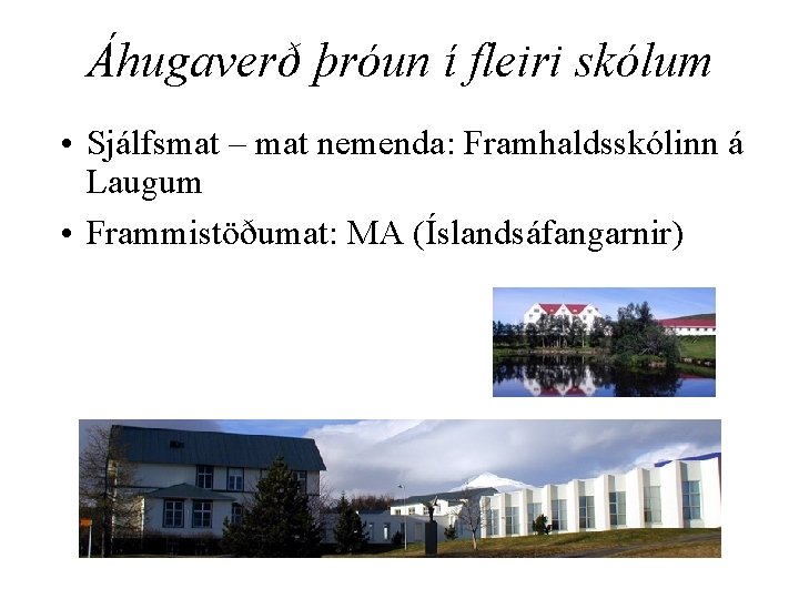 Áhugaverð þróun í fleiri skólum • Sjálfsmat – mat nemenda: Framhaldsskólinn á Laugum •