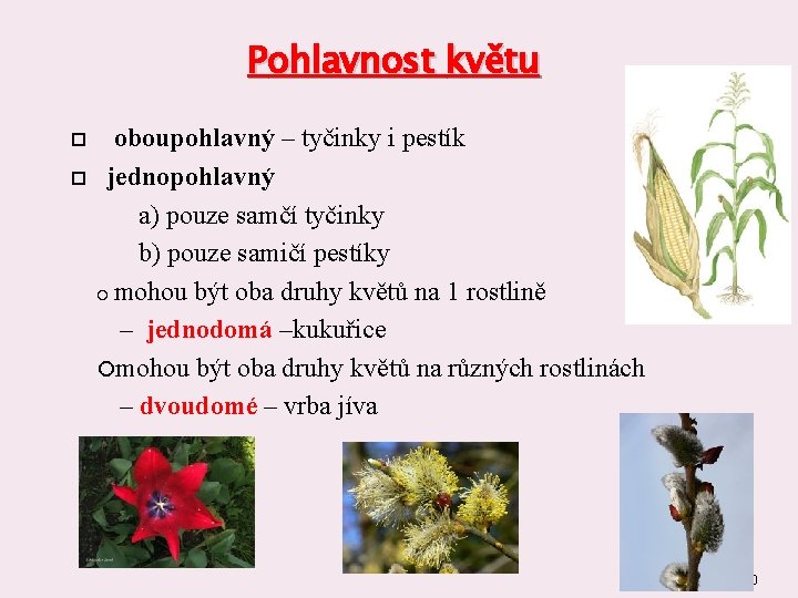 Pohlavnost květu oboupohlavný – tyčinky i pestík jednopohlavný a) pouze samčí tyčinky b) pouze