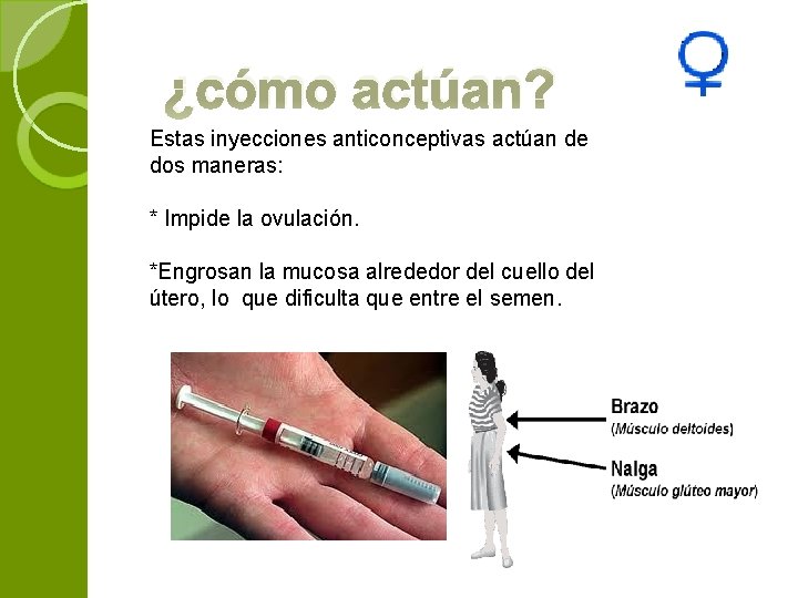 ¿cómo actúan? Estas inyecciones anticonceptivas actúan de dos maneras: * Impide la ovulación. *Engrosan