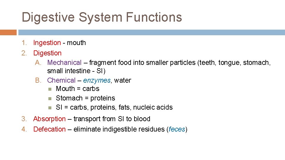 Digestive System Functions 1. Ingestion - mouth 2. Digestion A. Mechanical – fragment food