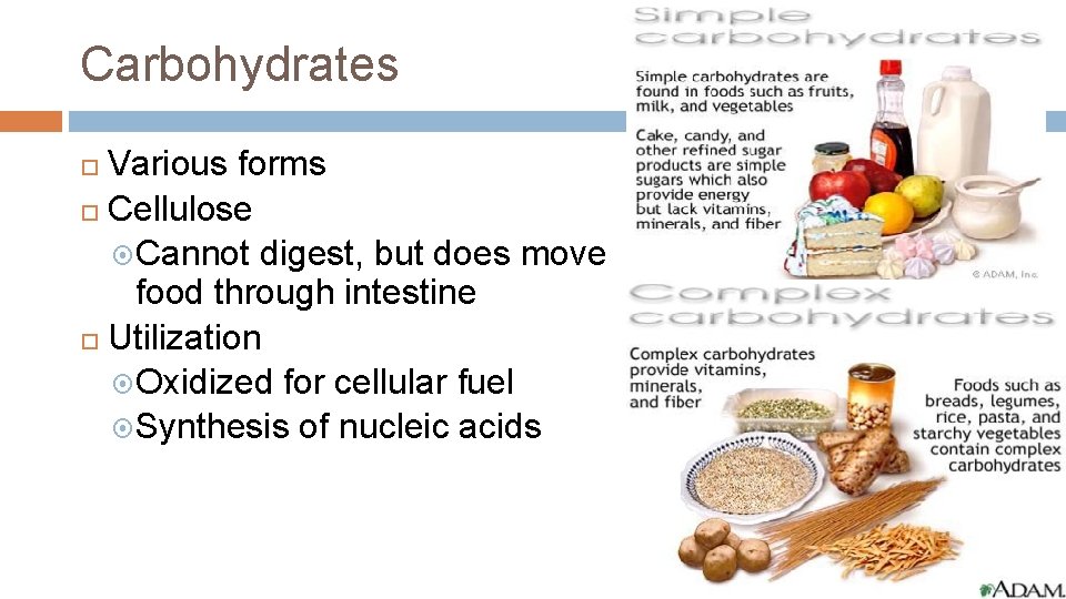 Carbohydrates Various forms Cellulose Cannot digest, but does move food through intestine Utilization Oxidized