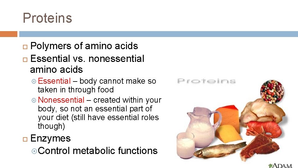 Proteins Polymers of amino acids Essential vs. nonessential amino acids Essential – body cannot