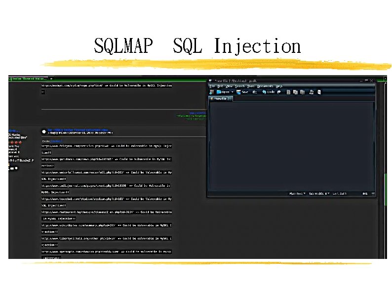 SQLMAP SQL Injection 
