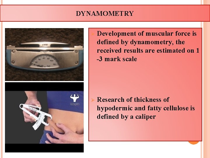 DYNAMOMETRY Ø Development of muscular force is defined by dynamometry, the received results are