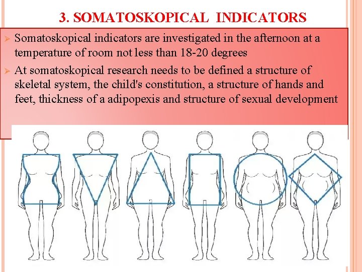 3. SOMATOSKOPICAL INDICATORS Ø Ø Somatoskopical indicators are investigated in the afternoon at a