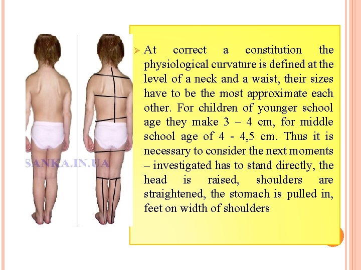 Ø At correct a constitution the physiological curvature is defined at the level of
