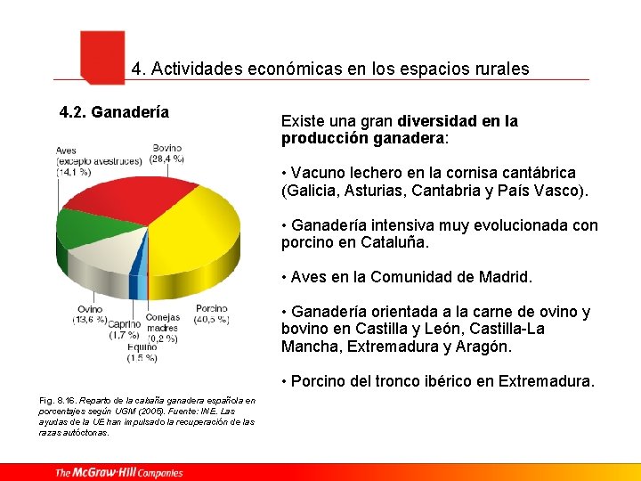 4. Actividades económicas en los espacios rurales 4. 2. Ganadería Existe una gran diversidad