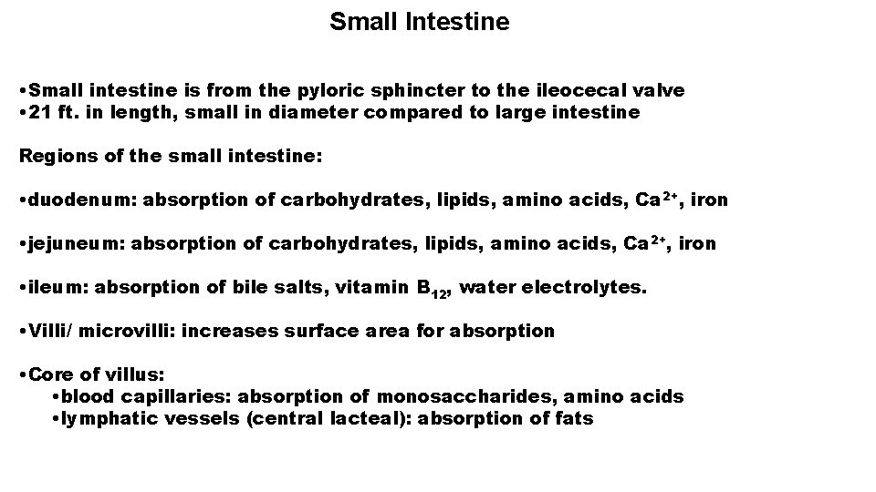 Small Intestine • Small intestine is from the pyloric sphincter to the ileocecal valve