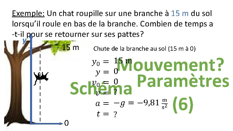 Exemple: Un chat roupille sur une branche à 15 m du sol lorsqu’il roule