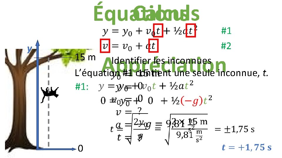 Calculs Équations #1 #2 y Appréciation 15 m Identifier les inconnues L’équation #1 contient