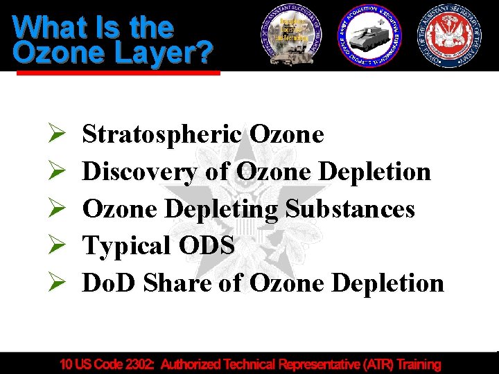 What Is the Ozone Layer? Ø Ø Ø Stratospheric Ozone Discovery of Ozone Depletion