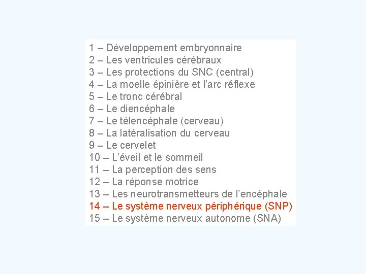 1 – Développement embryonnaire 2 – Les ventricules cérébraux 3 – Les protections du