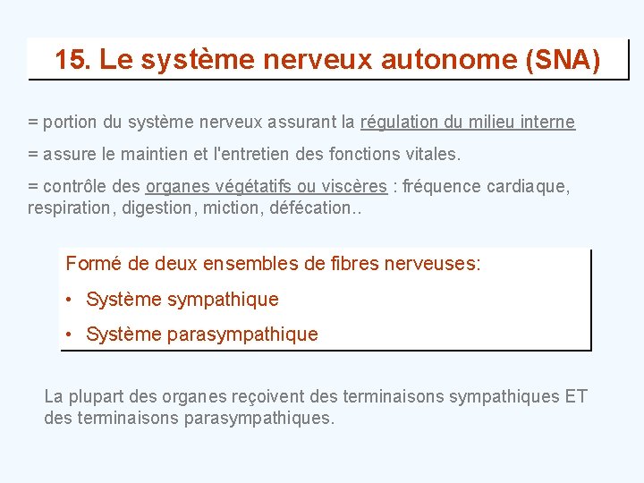 15. Le système nerveux autonome (SNA) = portion du système nerveux assurant la régulation