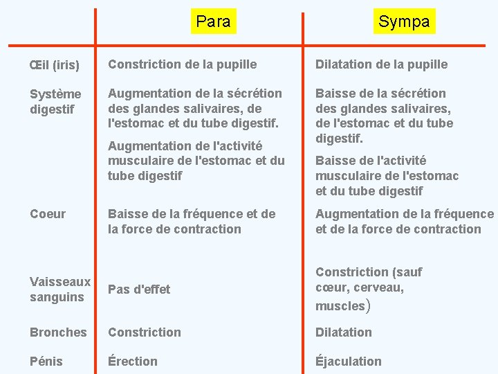 Para Sympa Œil (iris) Constriction de la pupille Dilatation de la pupille Système digestif