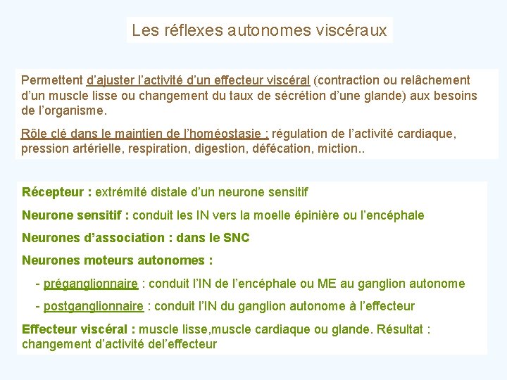 Les réflexes autonomes viscéraux Permettent d’ajuster l’activité d’un effecteur viscéral (contraction ou relâchement d’un