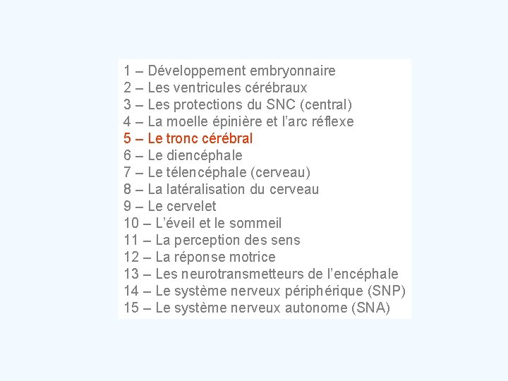 1 – Développement embryonnaire 2 – Les ventricules cérébraux 3 – Les protections du