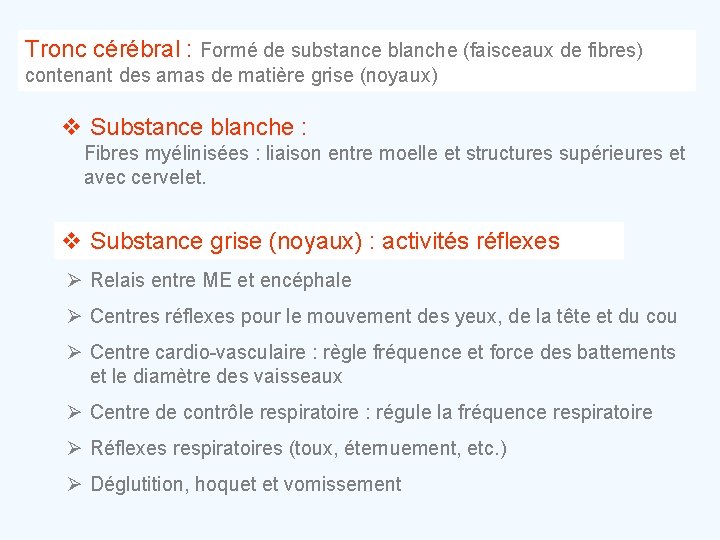 Tronc cérébral : Formé de substance blanche (faisceaux de fibres) contenant des amas de