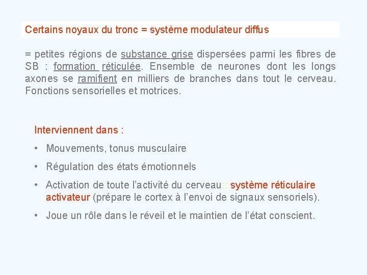 Certains noyaux du tronc = système modulateur diffus = petites régions de substance grise