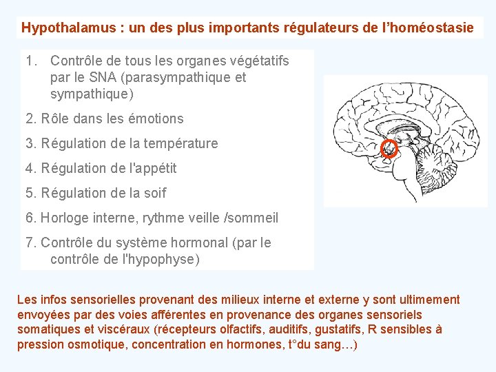 Hypothalamus : un des plus importants régulateurs de l’homéostasie 1. Contrôle de tous les