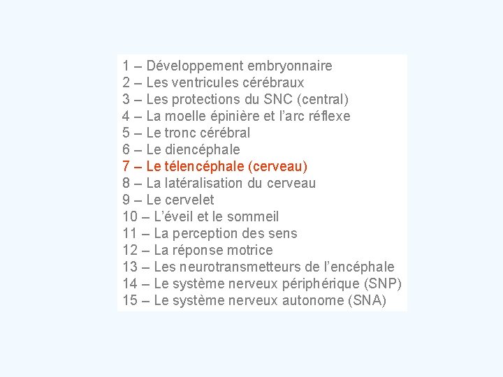 1 – Développement embryonnaire 2 – Les ventricules cérébraux 3 – Les protections du