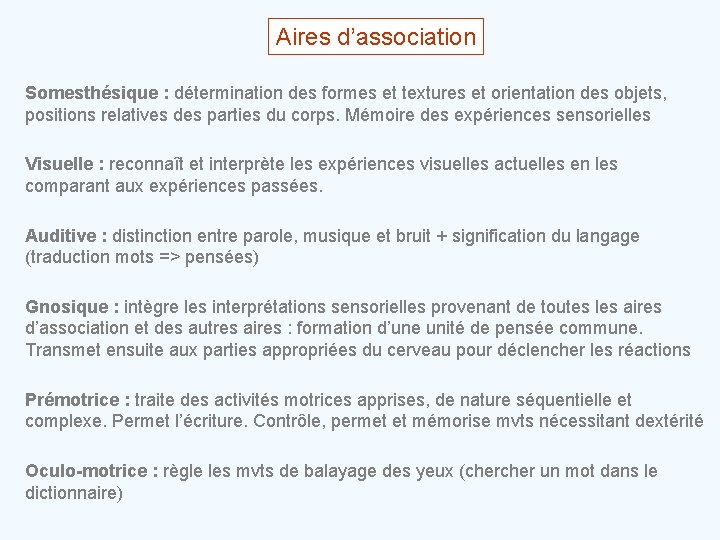 Aires d’association Somesthésique : détermination des formes et textures et orientation des objets, positions