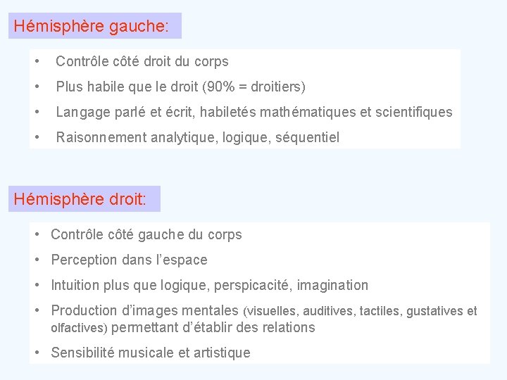 Hémisphère gauche: • Contrôle côté droit du corps • Plus habile que le droit