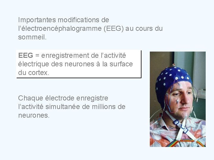 Importantes modifications de l’électroencéphalogramme (EEG) au cours du sommeil. EEG = enregistrement de l’activité