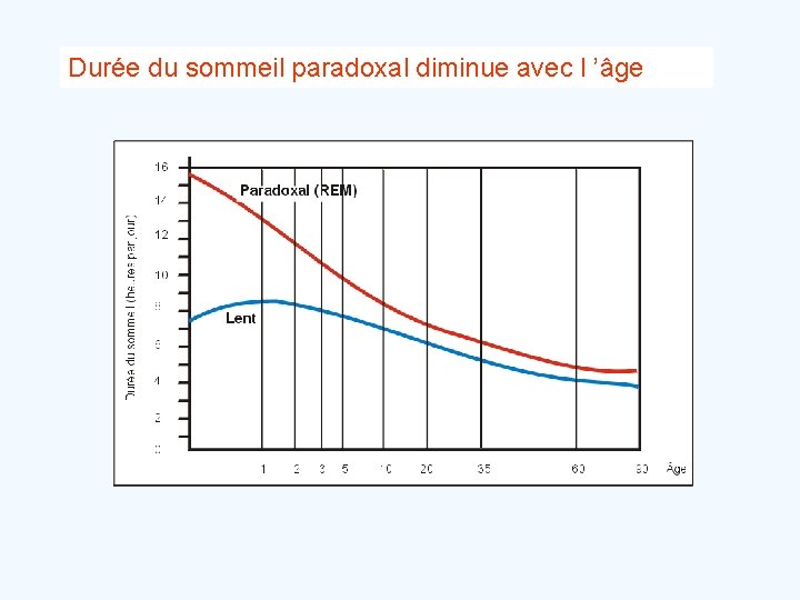 Durée du sommeil paradoxal diminue avec l ’âge 