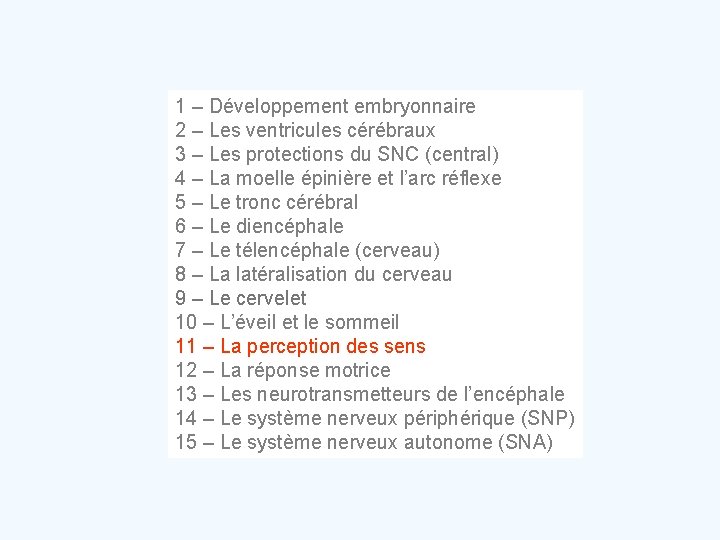 1 – Développement embryonnaire 2 – Les ventricules cérébraux 3 – Les protections du