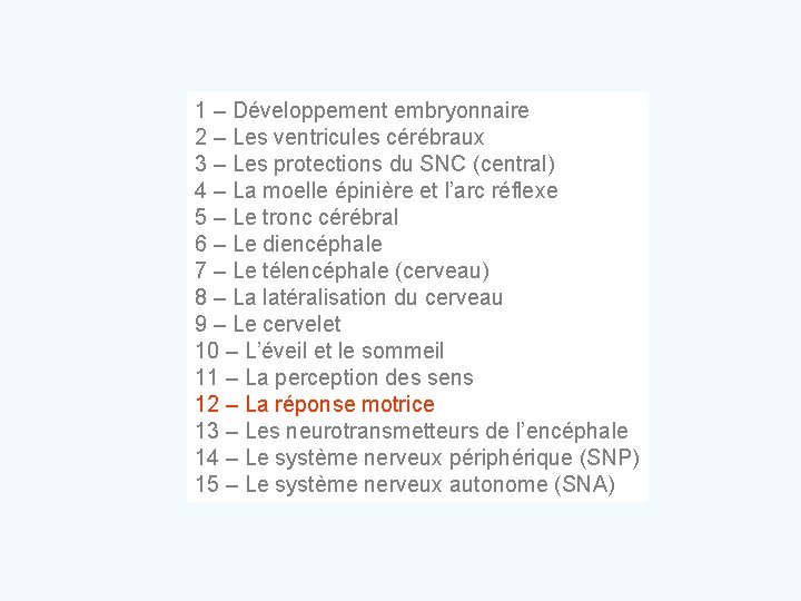 1 – Développement embryonnaire 2 – Les ventricules cérébraux 3 – Les protections du