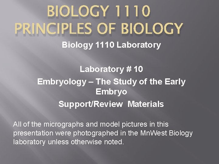 BIOLOGY 1110 PRINCIPLES OF BIOLOGY Biology 1110 Laboratory # 10 Embryology – The Study