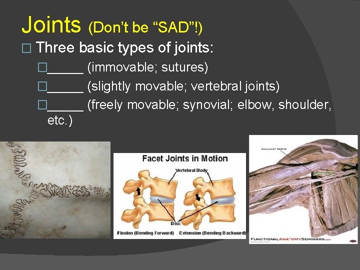 Joints (Don’t be “SAD”!) � Three basic types of joints: �_____ (immovable; sutures) �_____