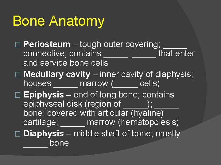 Bone Anatomy Periosteum – tough outer covering; _____ connective; contains _____ that enter and