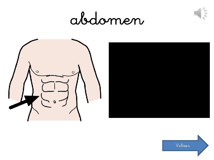 abdomen Volver 