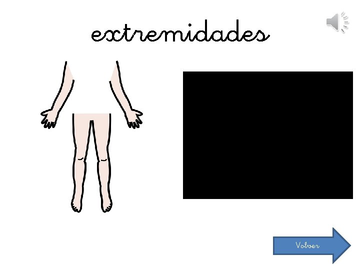 extremidades Volver 