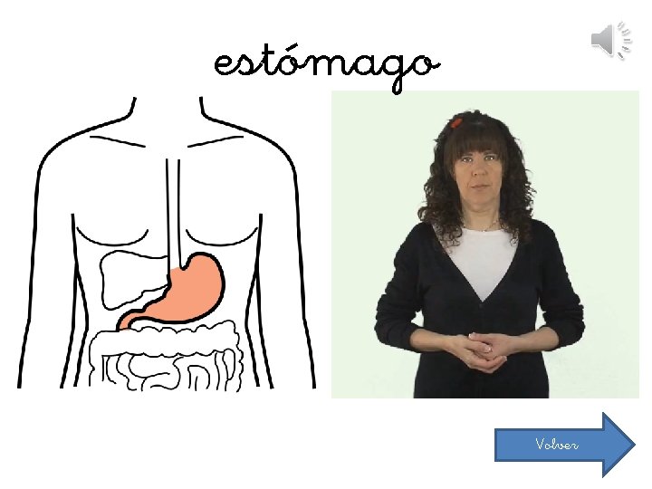 estómago Volver 