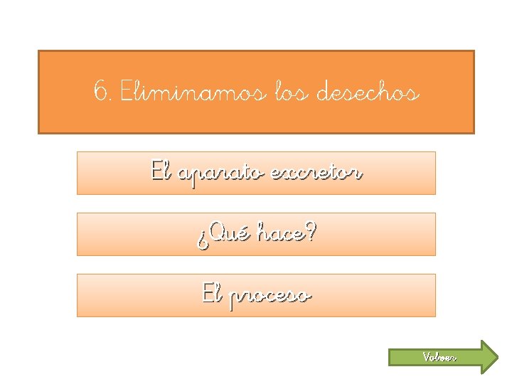 6. Eliminamos los desechos El aparato excretor ¿Qué hace? El proceso Volver 