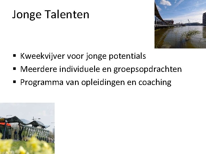 Jonge Talenten § Kweekvijver voor jonge potentials § Meerdere individuele en groepsopdrachten § Programma